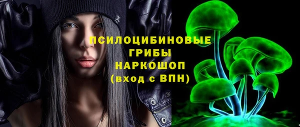прущий лед Богородицк