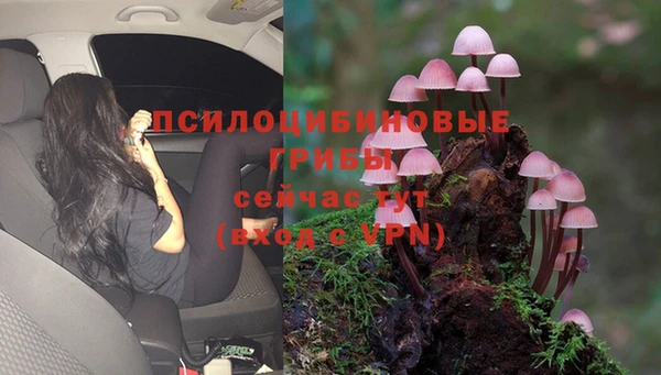 кокс Богданович