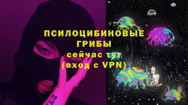COCAINE Богородск