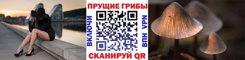 это формула  Плёс  Галлюциногенные грибы мухоморы 