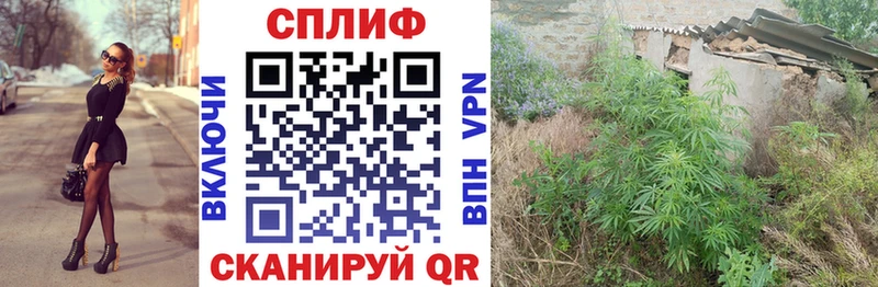 закладка  Плёс  Бошки марихуана планчик 